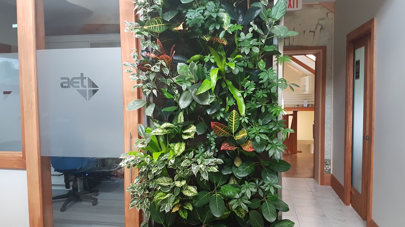 Project Evergreen - AET98