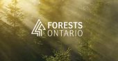 Forests Ontario