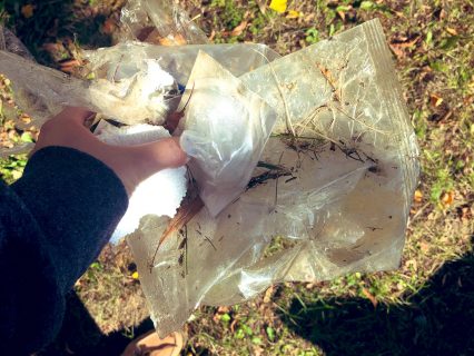 Woman holding a pile of litter collected from the neighbourhood.