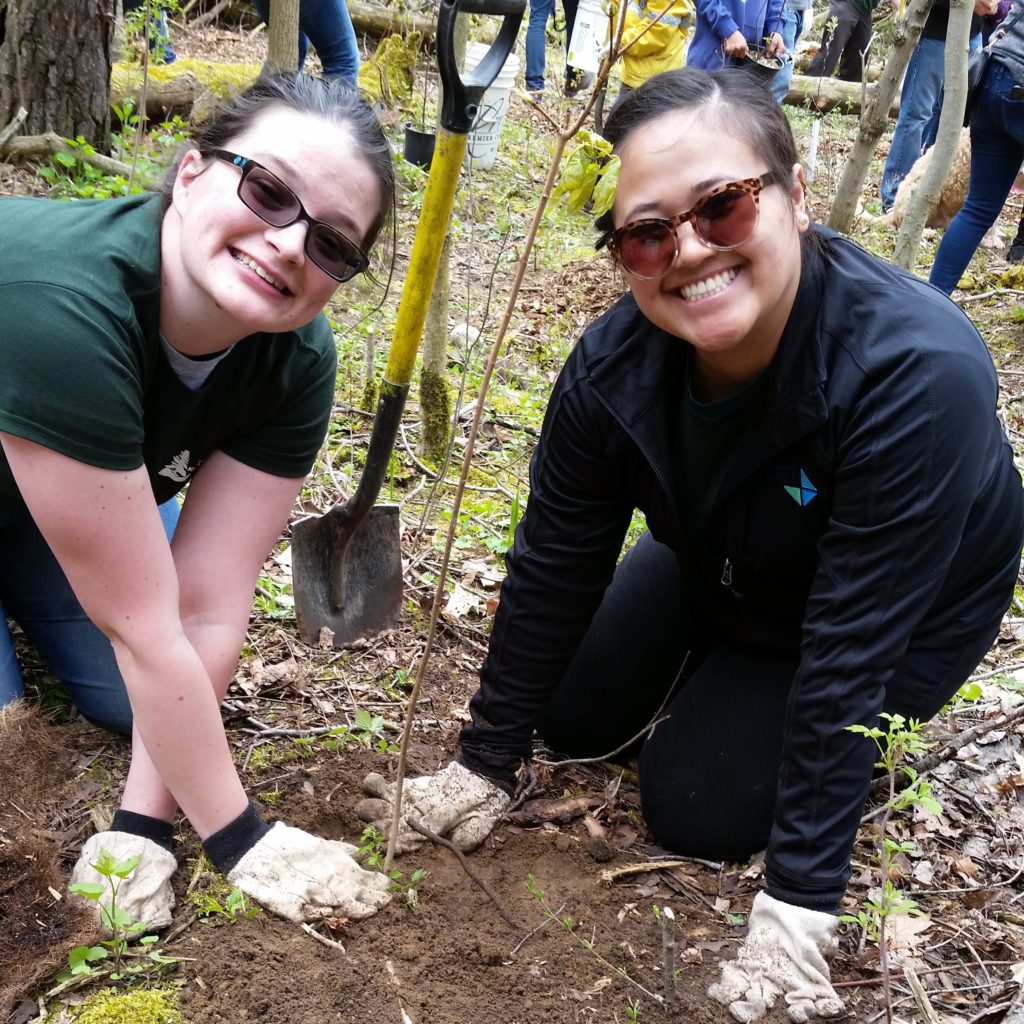 AET employees planting trees as part of Earth Day 2017.