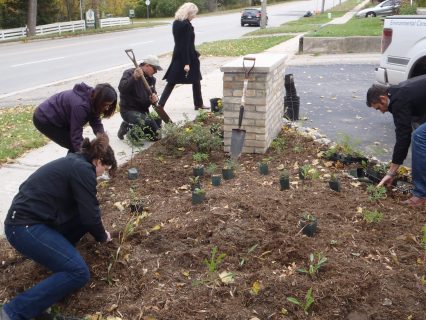 AET employees planting a rain garden at the head office in Kitchener.