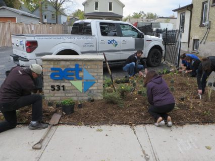 AET employees planting a rain garden at the head office located in Kitchener.