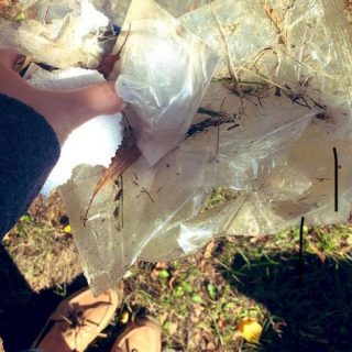 Person holding trash collected from a forest. 