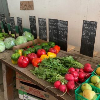 Fresh vegetables sitting on a table at a market. 