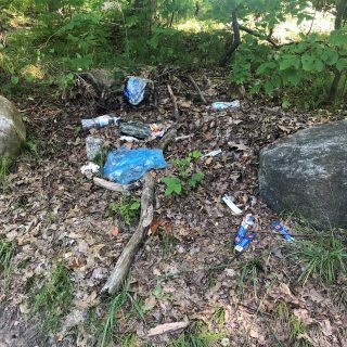 Trash lying in a pile found in a forest. 