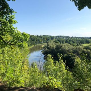 Photo looking down on a river surrounded by trees.