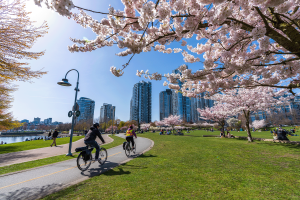 Picture of cyclists riding through a park with a city skyline in the background.